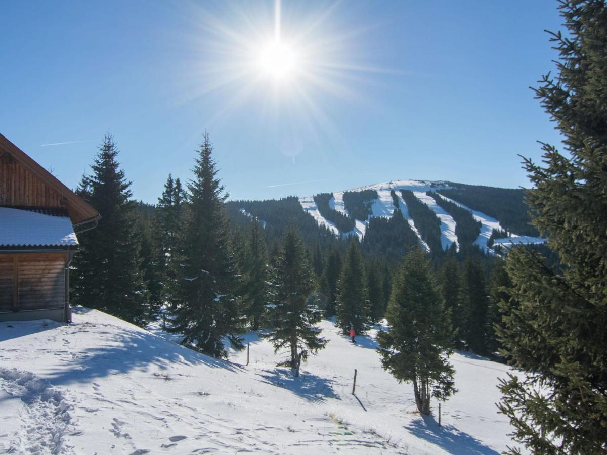 Beautiful Holiday Home In Weinebene With Sauna Obergösel Zewnętrze zdjęcie